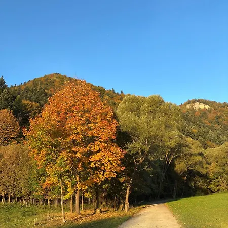 Ferienhaus Bialy Pieniny